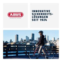 ABUS Kettenschloss Steel-O-Chain 5805K robustes Stahl Fahrradschloss 110 cm lang