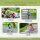 meteor Kinder Fahrradhelm MTB Rollerhelm verstellbar Magic Design Kinderhe Gr. S